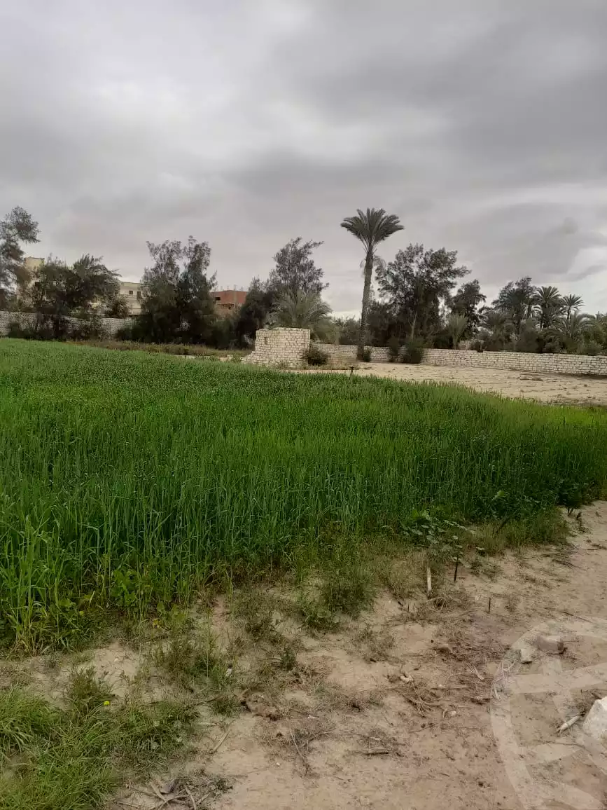 https://aqarmap.com.eg/en/listing/5527582-for-sale-beheira-wadi-el-natrun-kafr-dahoud