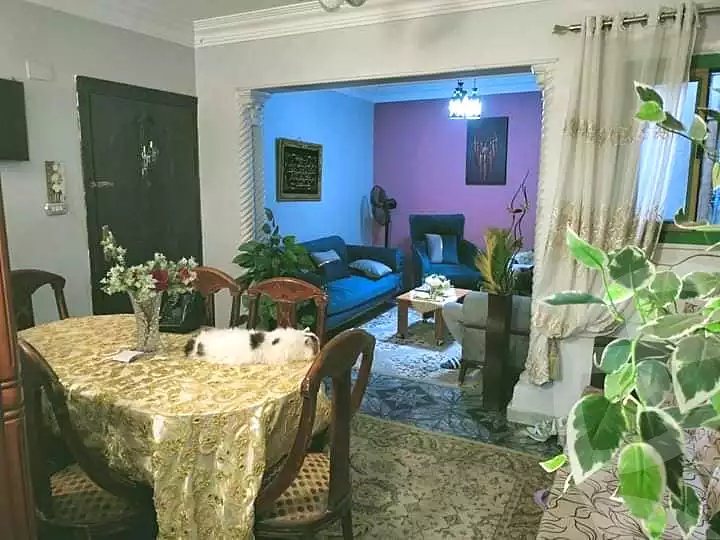 https://aqarmap.com.eg/ar/listing/4818613-for-sale-cairo-ain-shams-ain-shams-el-sharkia-shakir-soliman-st
