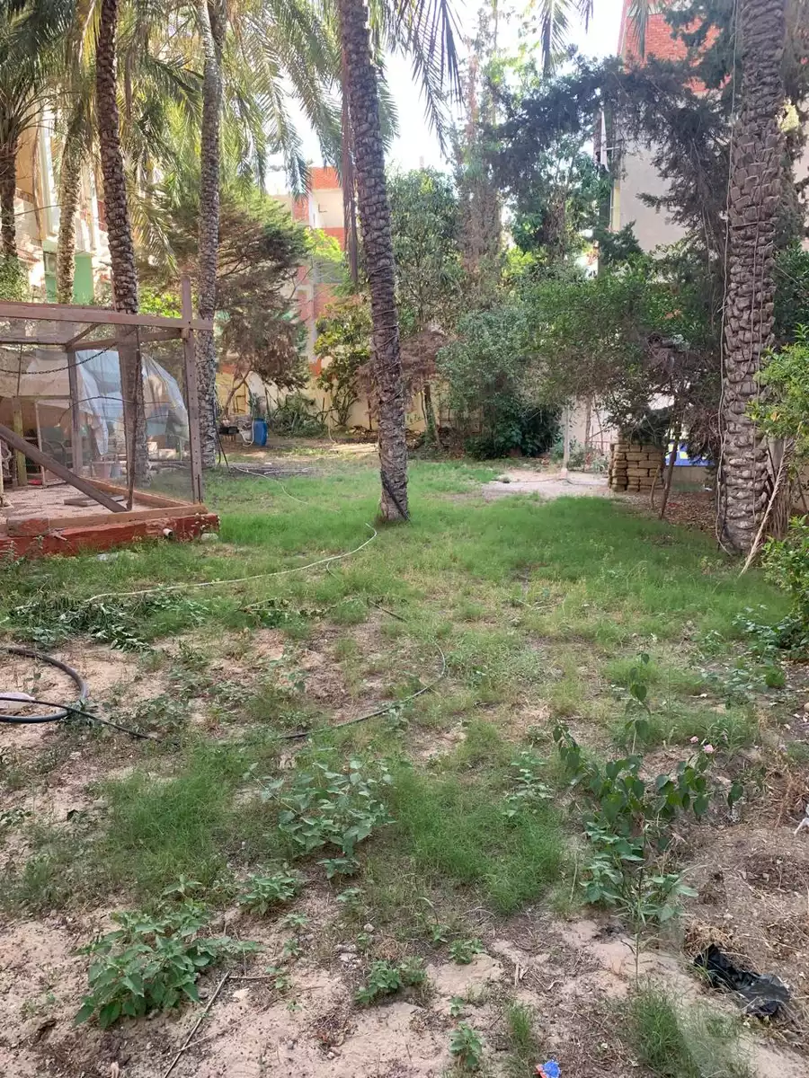 https://aqarmap.com.eg/ar/listing/4833853-for-sale-north-sinai-arish-el-msaeid