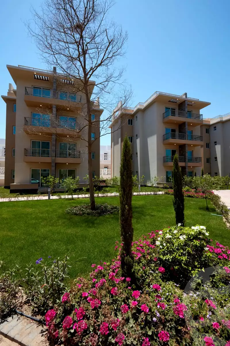 https://aqarmap.com.eg/en/listing/4945942-for-sale-dakahlia-new-mansoura-city-mryn-dlt