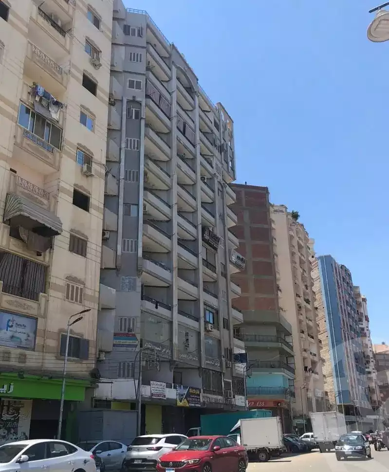 https://aqarmap.com.eg/ar/listing/5006806-for-sale-gharbia-tanta