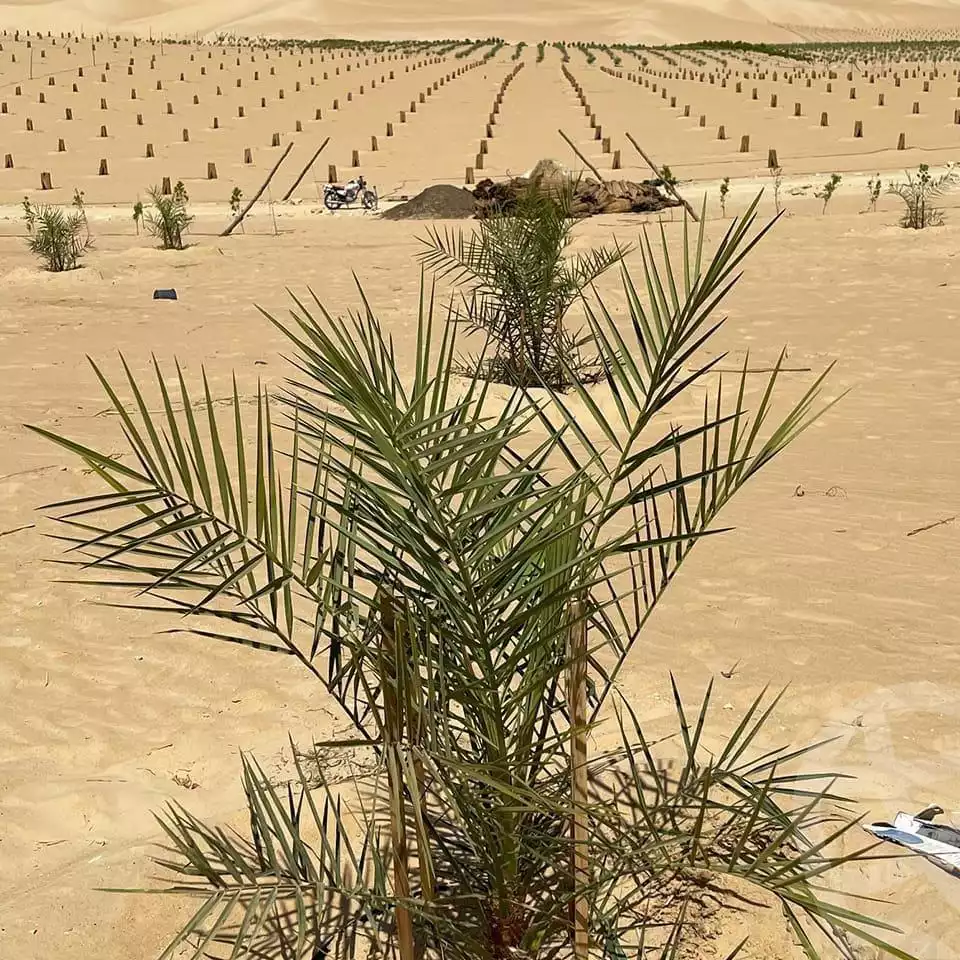 https://aqarmap.com.eg/ar/listing/5037831-for-sale-marsa-matruh-siwa-oasis-wahet-siwaa-city