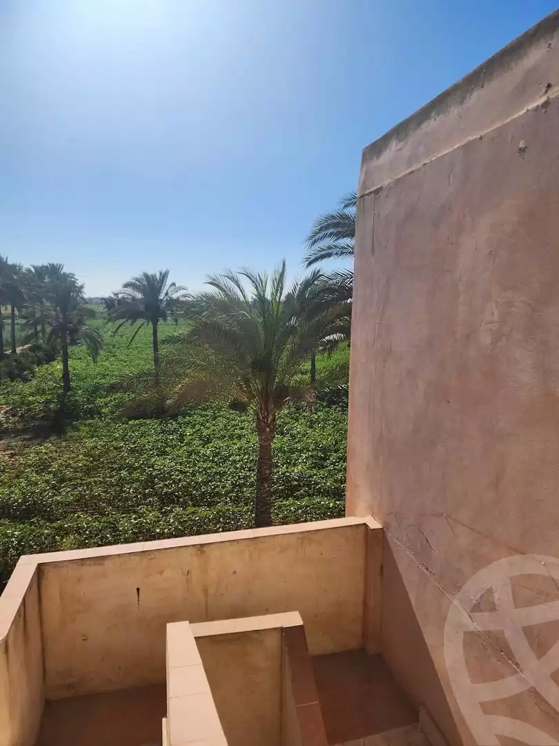 https://aqarmap.com.eg/ar/listing/5181530-for-sale-alexandria-el-amreya