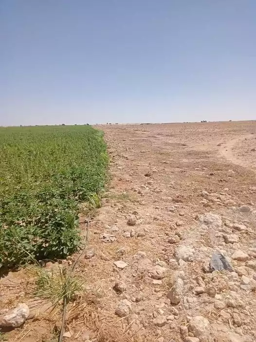 https://aqarmap.com.eg/en/listing/5194074-for-sale-beni-suef-somosta
