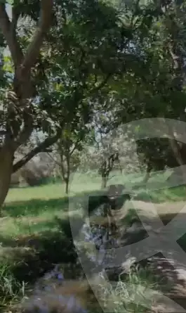 https://aqarmap.com.eg/en/listing/5204133-for-sale-el-fayoum-sinnuris-el-kaby-el-gdida