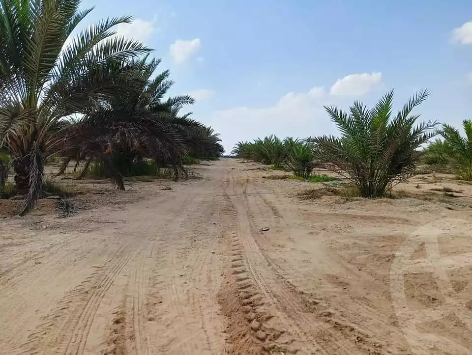 https://aqarmap.com.eg/ar/listing/5209508-for-sale-beheira-wadi-el-natrun