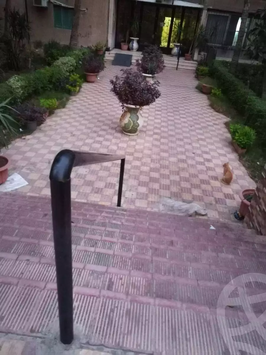 https://aqarmap.com.eg/en/listing/5219233-for-rent-cairo-nasr-city-tareq-el-nasr