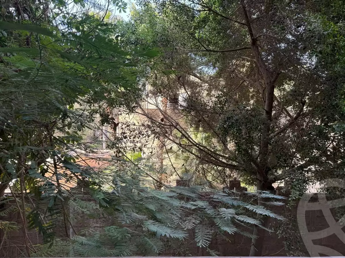 https://aqarmap.com.eg/en/listing/5221475-for-rent-cairo-manial