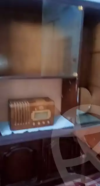 https://aqarmap.com.eg/en/listing/5222657-for-rent-cairo-shoubra-aboud