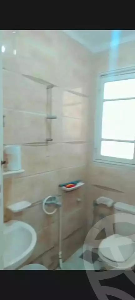 https://aqarmap.com.eg/en/listing/5234782-for-rent-alexandria-cleopatra