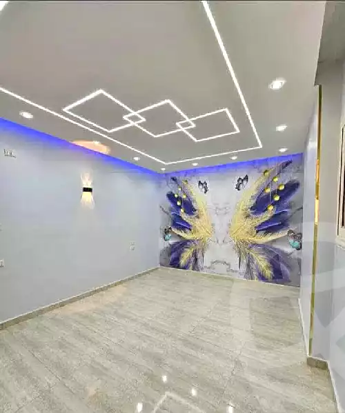 https://aqarmap.com.eg/en/listing/5251924-for-sale-cairo-el-haram-shareaa-khatem-el-morsalen