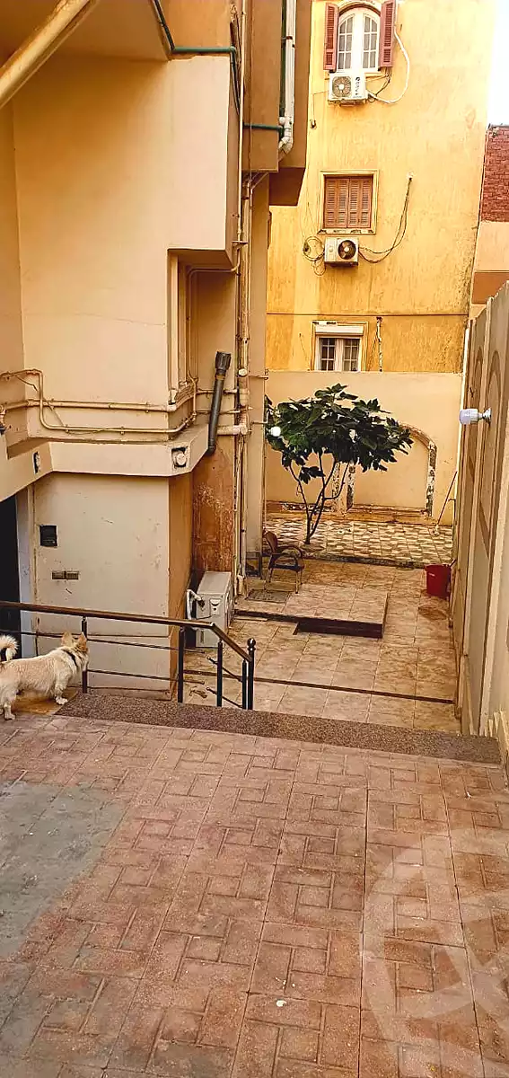 https://aqarmap.com.eg/ar/listing/5256679-for-sale-cairo-new-cairo-south-investors
