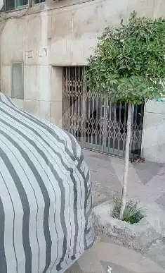 https://aqarmap.com.eg/en/listing/5278920-for-rent-cairo-manial-abd-el-aziz-al-saud-st