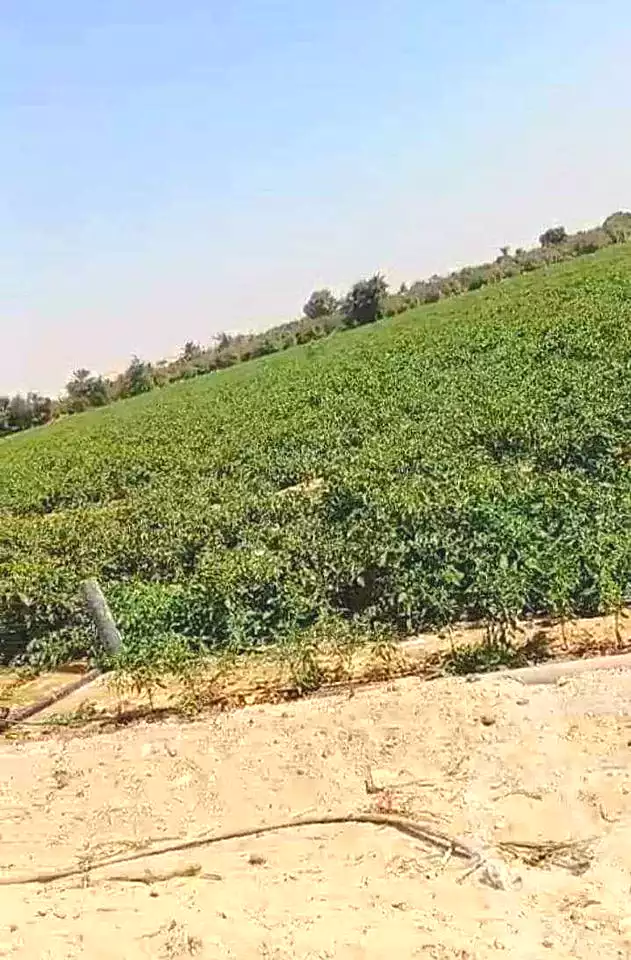 https://aqarmap.com.eg/ar/listing/5291756-for-sale-alexandria-cairo-alexandria-desert-road