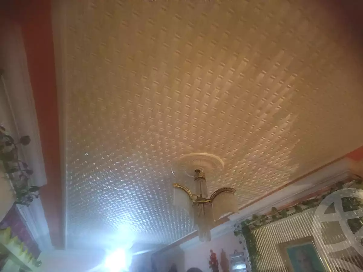 https://aqarmap.com.eg/ar/listing/5293398-for-sale-alexandria-fyktwry-el-amir-abd-el-haleem-st