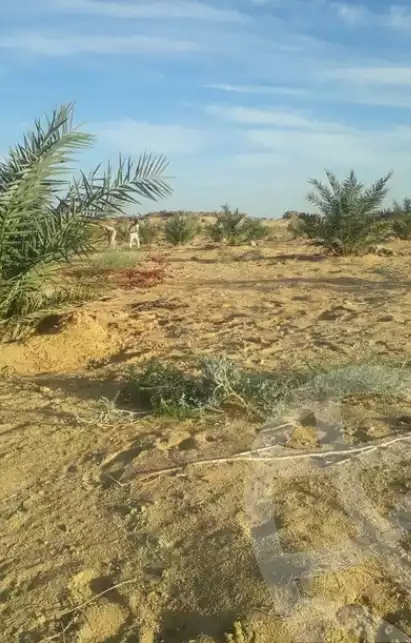 https://aqarmap.com.eg/ar/listing/5302491-for-sale-marsa-matruh-marsa-matrouh-city