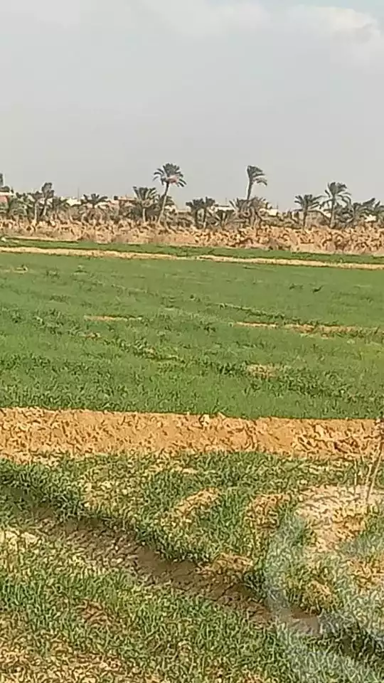 https://aqarmap.com.eg/en/listing/5307668-for-sale-beheira-wadi-el-natrun