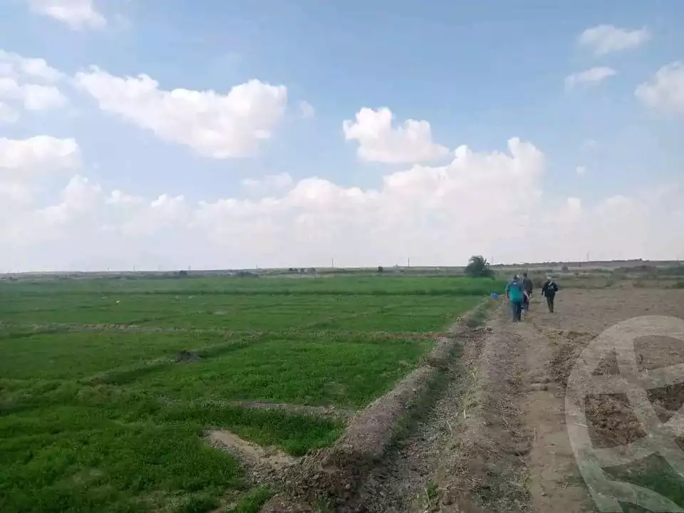 https://aqarmap.com.eg/en/listing/5308300-for-sale-el-fayoum