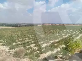 https://aqarmap.com.eg/ar/listing/5308791-for-sale-beheira-wadi-el-natrun