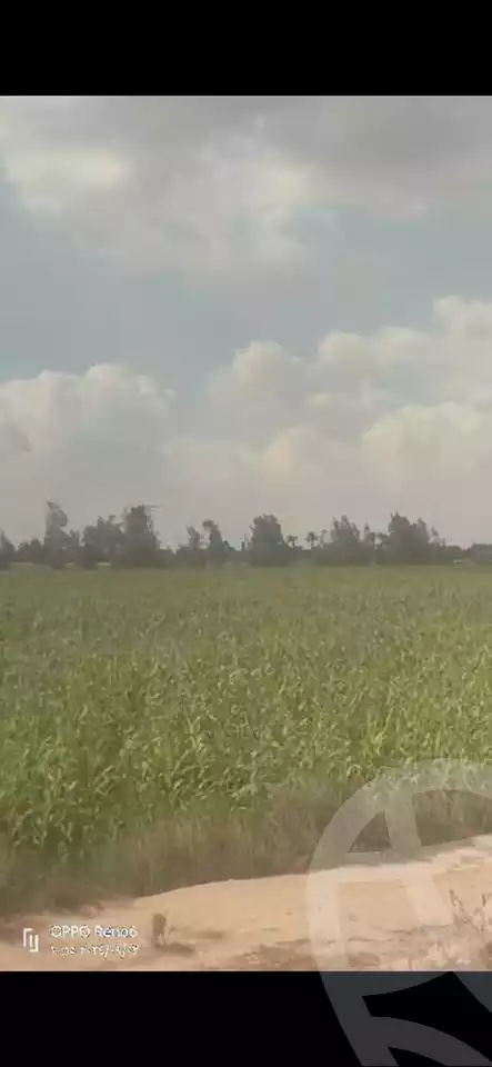 https://aqarmap.com.eg/en/listing/5335144-for-sale-alexandria-cairo-alexandria-desert-road