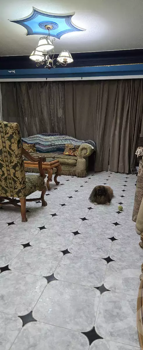 https://aqarmap.com.eg/ar/listing/5339744-for-sale-cairo-mokattam-lhdb-l-ly-shareaa-9