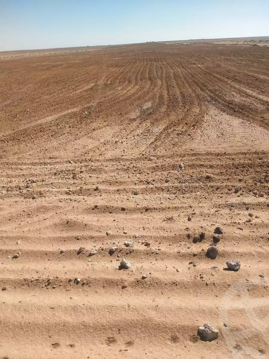 https://aqarmap.com.eg/en/listing/5347645-for-sale-beheira-wadi-el-natrun