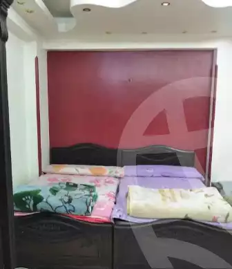 https://aqarmap.com.eg/ar/listing/5347651-for-rent-qina-qina-city