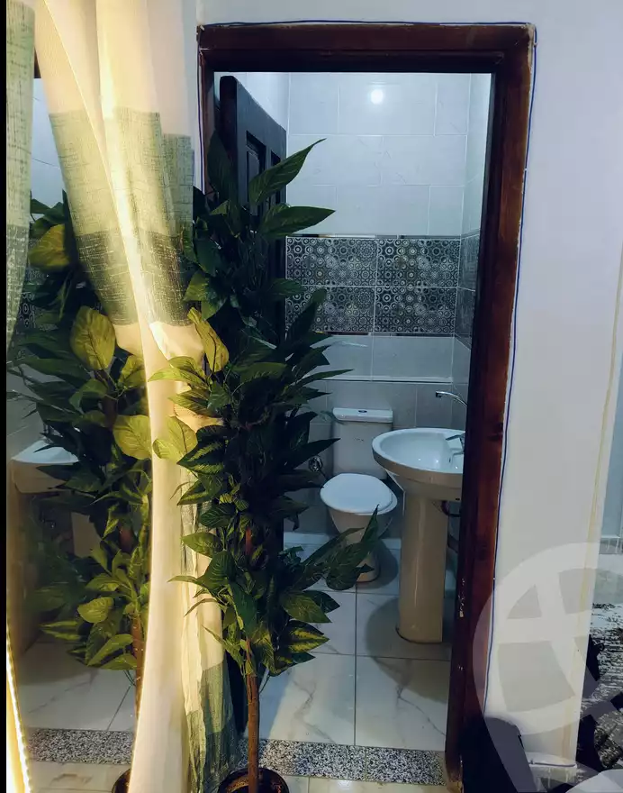 https://aqarmap.com.eg/en/listing/5352205-for-rent-cairo-nasr-city-zahraa-nasr-city