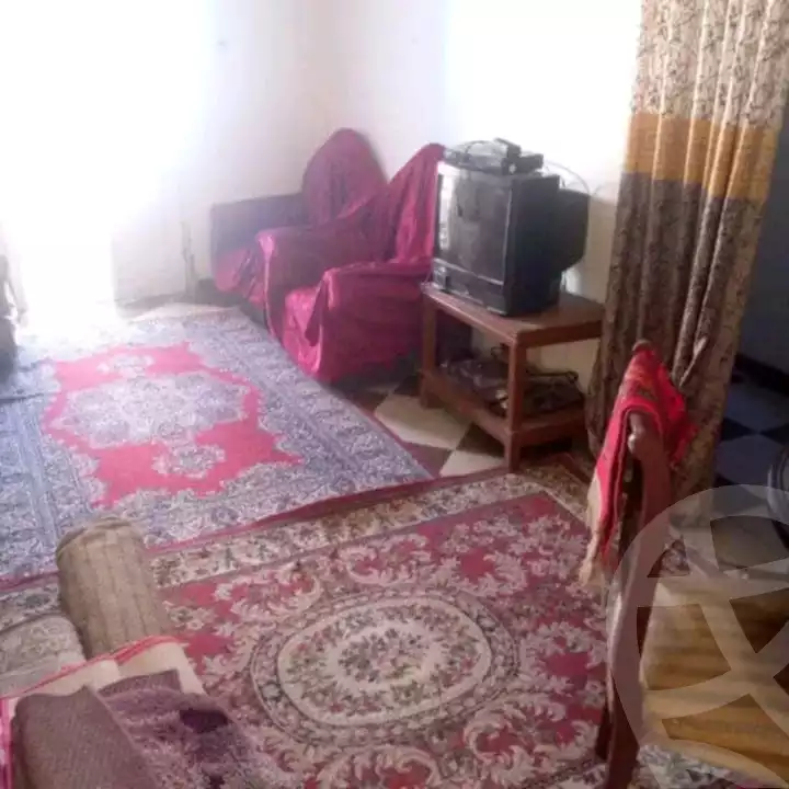 https://aqarmap.com.eg/en/listing/5374147-for-rent-alexandria-miami-hasan-zagmor-st