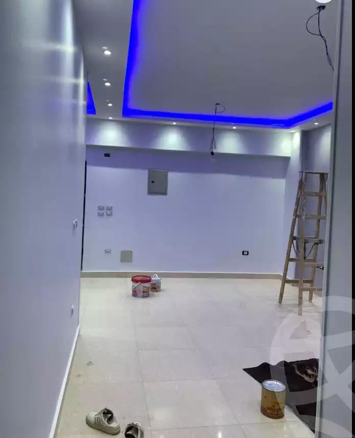 https://aqarmap.com.eg/en/listing/5376975-for-rent-cairo-al-oubour-el-hay-el-taseaa-el-thaqafa-st