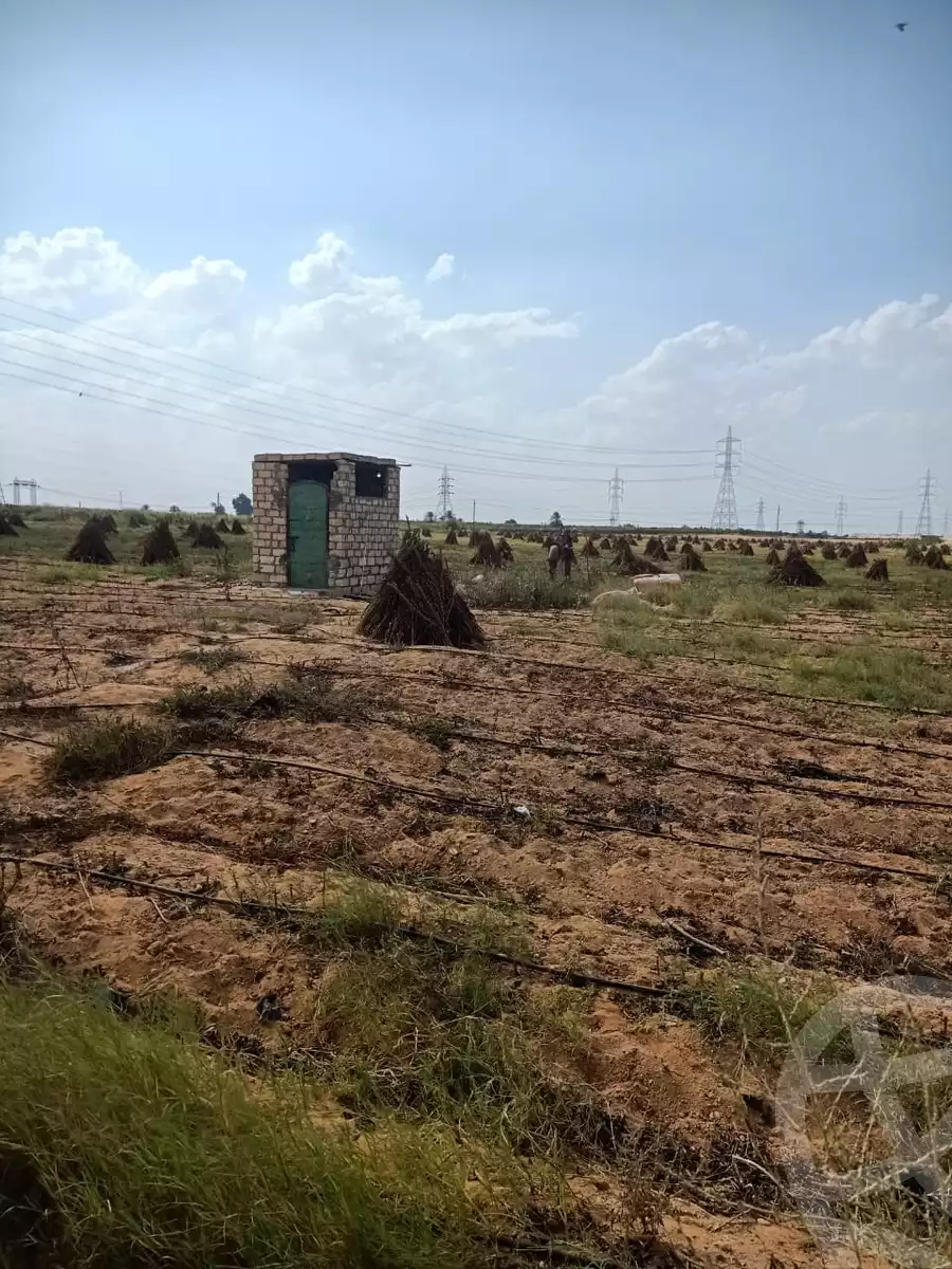 https://aqarmap.com.eg/en/listing/5378458-for-sale-alexandria-cairo-alexandria-desert-road