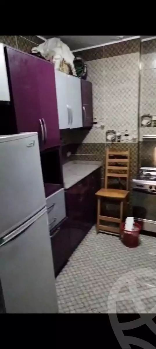 https://aqarmap.com.eg/en/listing/5378231-for-rent-cairo-ain-shams-alf-maskn