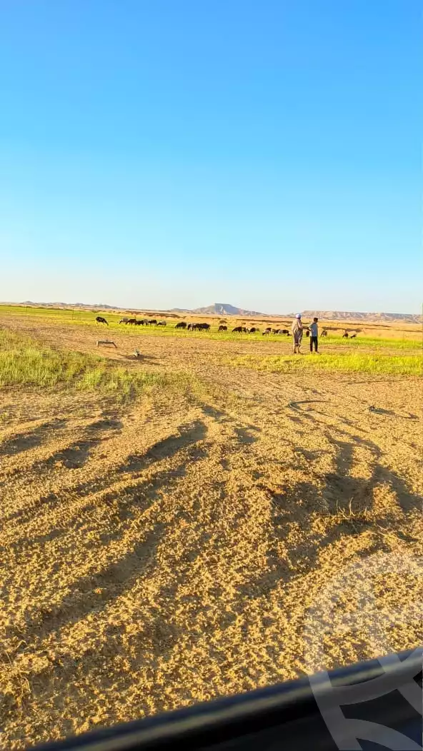https://aqarmap.com.eg/en/listing/5391115-for-sale-new-valley-farafra