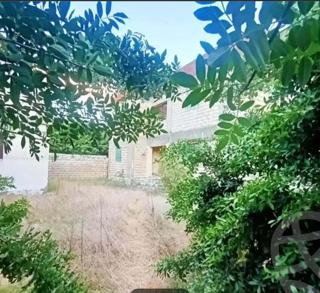 https://aqarmap.com.eg/en/listing/5391730-for-sale-alexandria-l-jmy-bw-ywsf