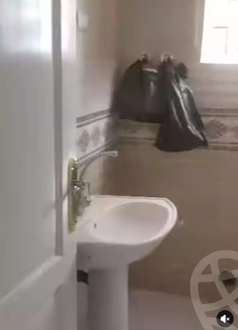 https://aqarmap.com.eg/en/listing/5392082-for-rent-cairo-ljyz-el-moneeb