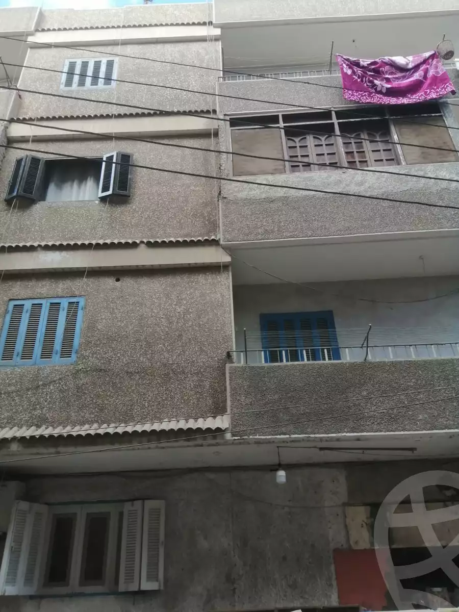 https://aqarmap.com.eg/en/listing/5397489-for-sale-monufia-shibin-el-kom-shr-ljl-lbhry