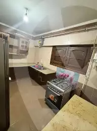 https://aqarmap.com.eg/ar/listing/5400039-for-rent-cairo-manial