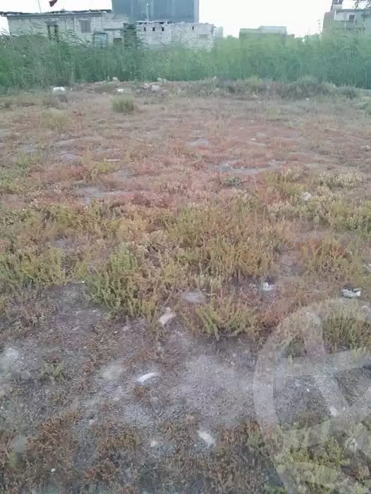 https://aqarmap.com.eg/en/listing/5400744-for-sale-alexandria-bys