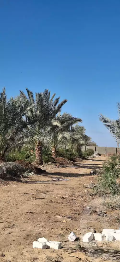 https://aqarmap.com.eg/en/listing/5406663-for-sale-suez-suez-city-suez-city