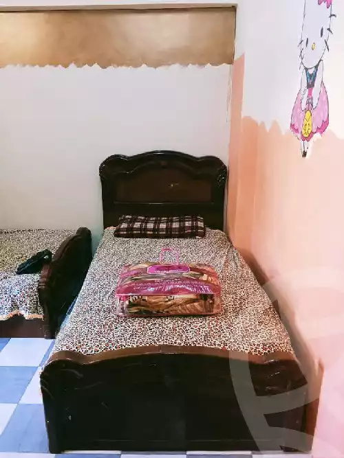 https://aqarmap.com.eg/en/listing/5411726-for-rent-aswan-aswan-city-aswan-city