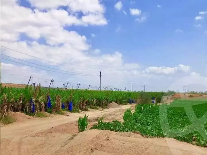 https://aqarmap.com.eg/en/listing/5413100-for-sale-alexandria-cairo-alexandria-desert-road