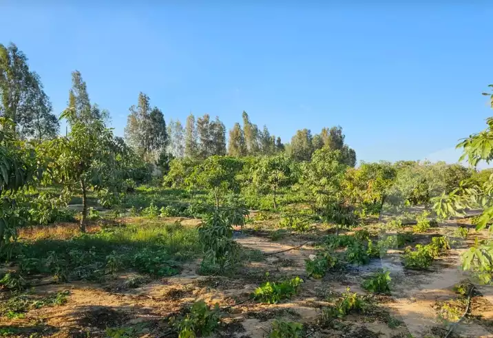 https://aqarmap.com.eg/en/listing/5425964-for-sale-ismailia-ismailia-city