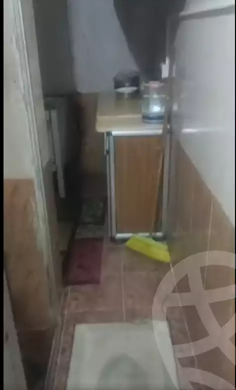 https://aqarmap.com.eg/en/listing/5427224-for-sale-cairo-ain-shams-mnshy-lthryr