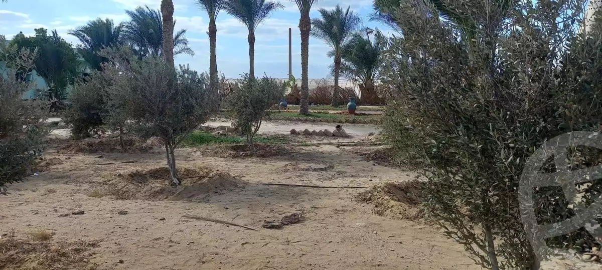 https://aqarmap.com.eg/en/listing/5433393-for-sale-cairo-ljyz-l-yt