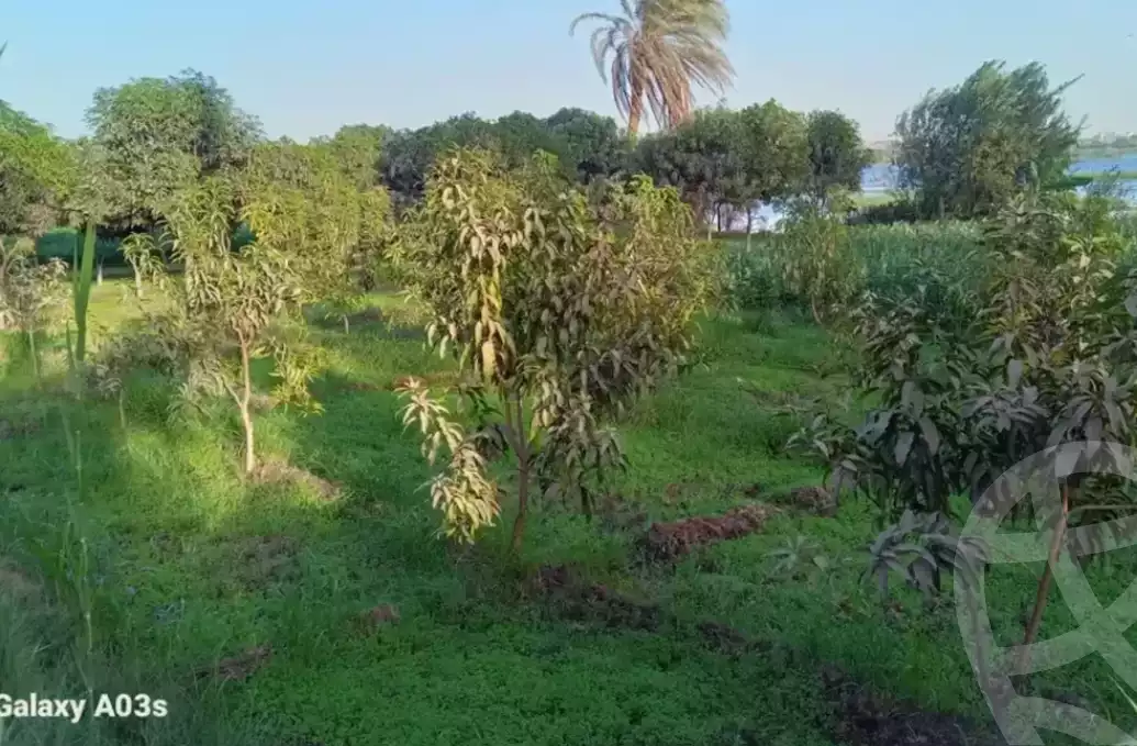 https://aqarmap.com.eg/en/listing/5433496-for-sale-beni-suef-mdyn-bny-swyf