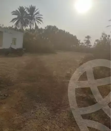 https://aqarmap.com.eg/en/listing/5444509-for-sale-alexandria-el-amreya