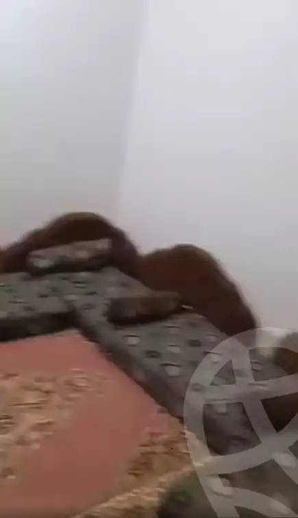 https://aqarmap.com.eg/en/listing/5453653-for-sale-marsa-matruh-marsa-matrouh-city-el-ezaa-st