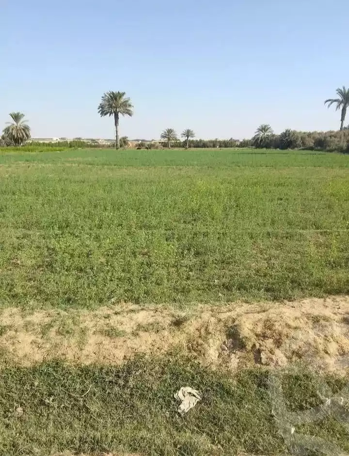 https://aqarmap.com.eg/en/listing/5460981-for-sale-el-fayoum-tamiya