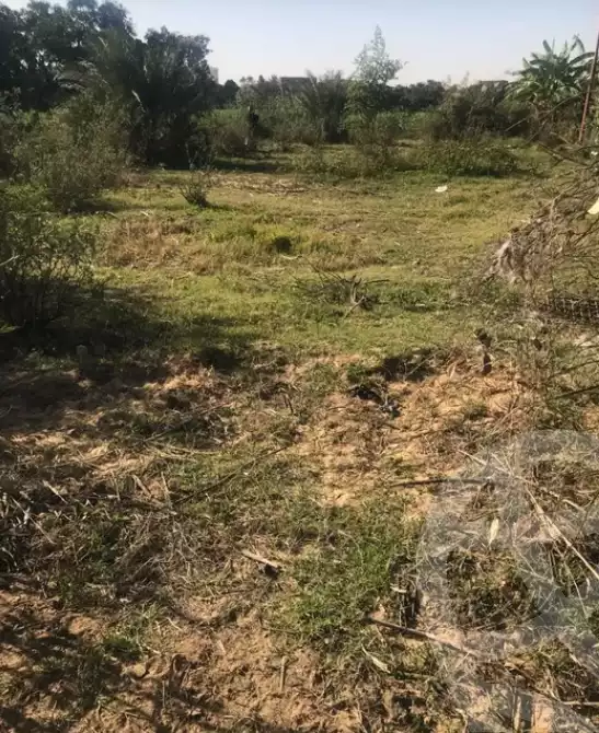 https://aqarmap.com.eg/en/listing/5460996-for-sale-ismailia-fayed-fayad-al-gadida-st