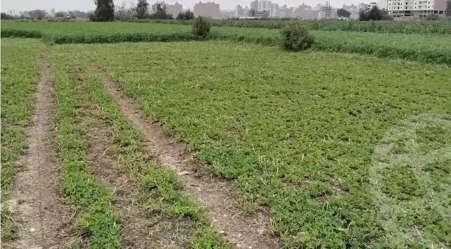 https://aqarmap.com.eg/ar/listing/5461946-for-sale-dakahlia-mansoura-el-mansoura-city